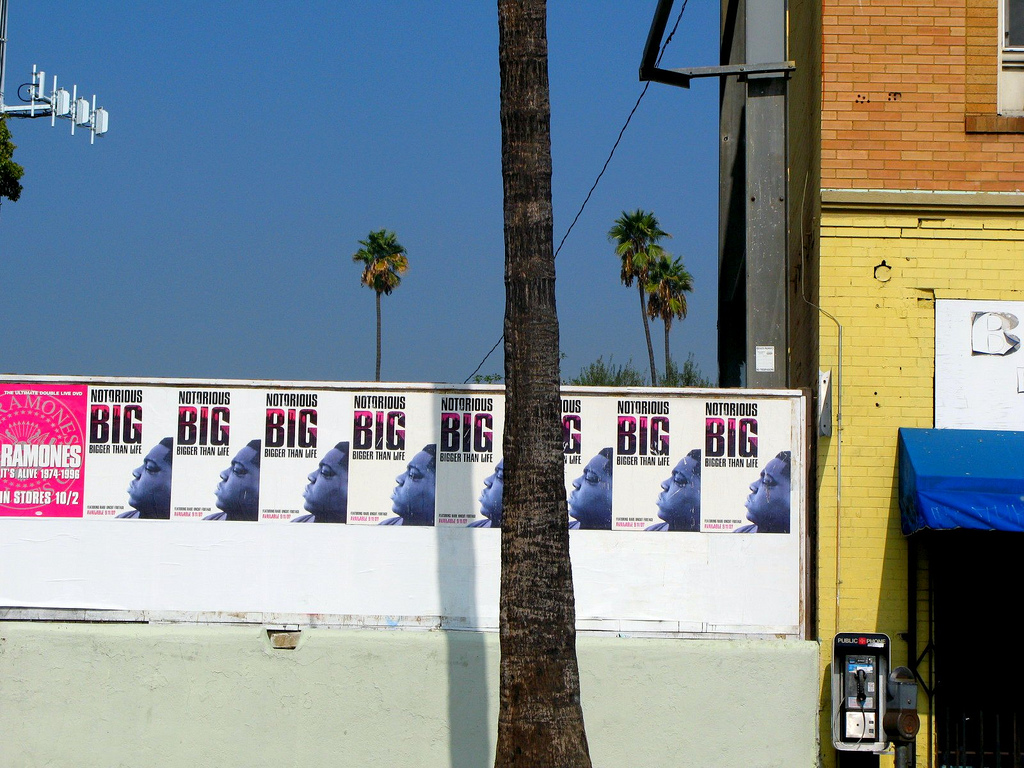 on sunset blvd